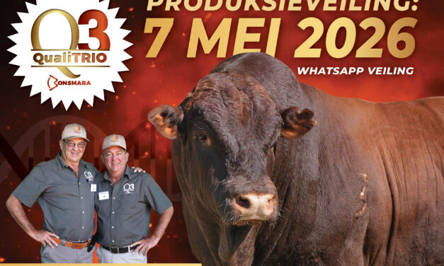 2026 Digitale Katalogus / Digital Catalogue