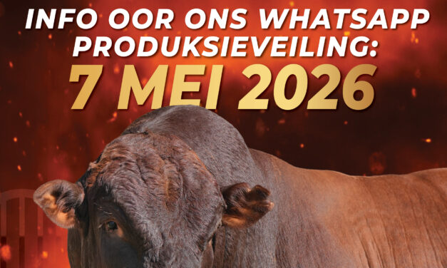 2026 Inligting / Information